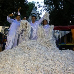 Шоу программа