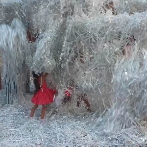 Шоу программа фото одесса это весело