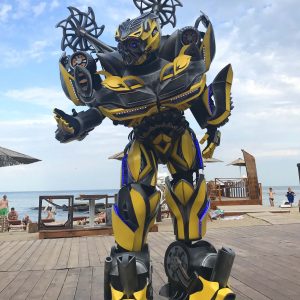 Аниматоры Трансформеры Фотография Бамблби