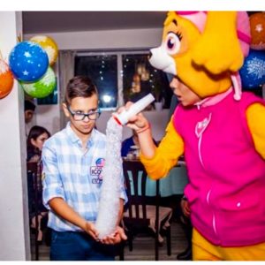 paw patrol скай и гонщик paw patrol odessa