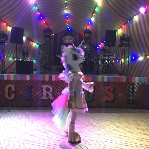 фото литл пони одесса