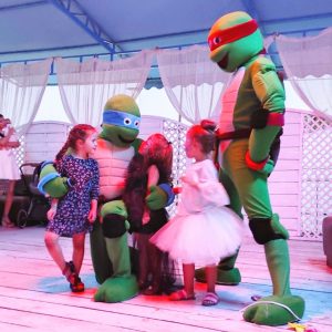 черепахи черепашки панцирь