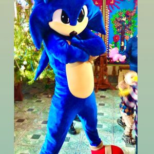 Соник, аниматоры Одесса, детский праздник Детский праздник аниматоры ОДесса