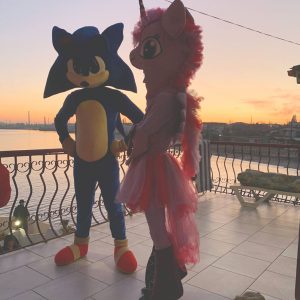 sonic Аниматор Соник