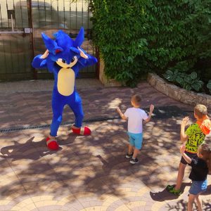 Аниматоры Одесса Соник Детский праздник с Соником Одесса