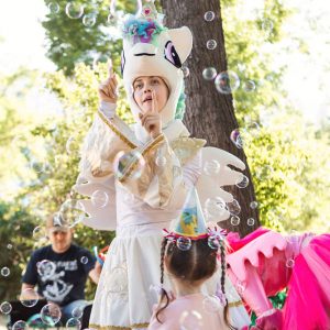 Программа с пони