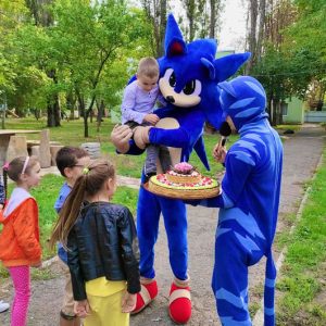 Соник заказать аниматора Соник