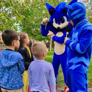 Фото Соник sonic