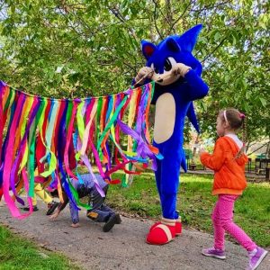 Ежик Соник Фото Соник