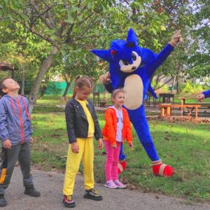 sonic аниматор sonic аниматор