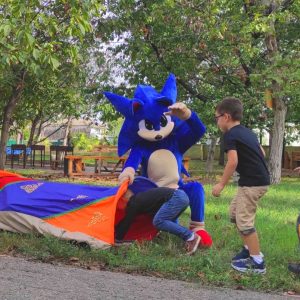 sonic детский празд sonic odessa